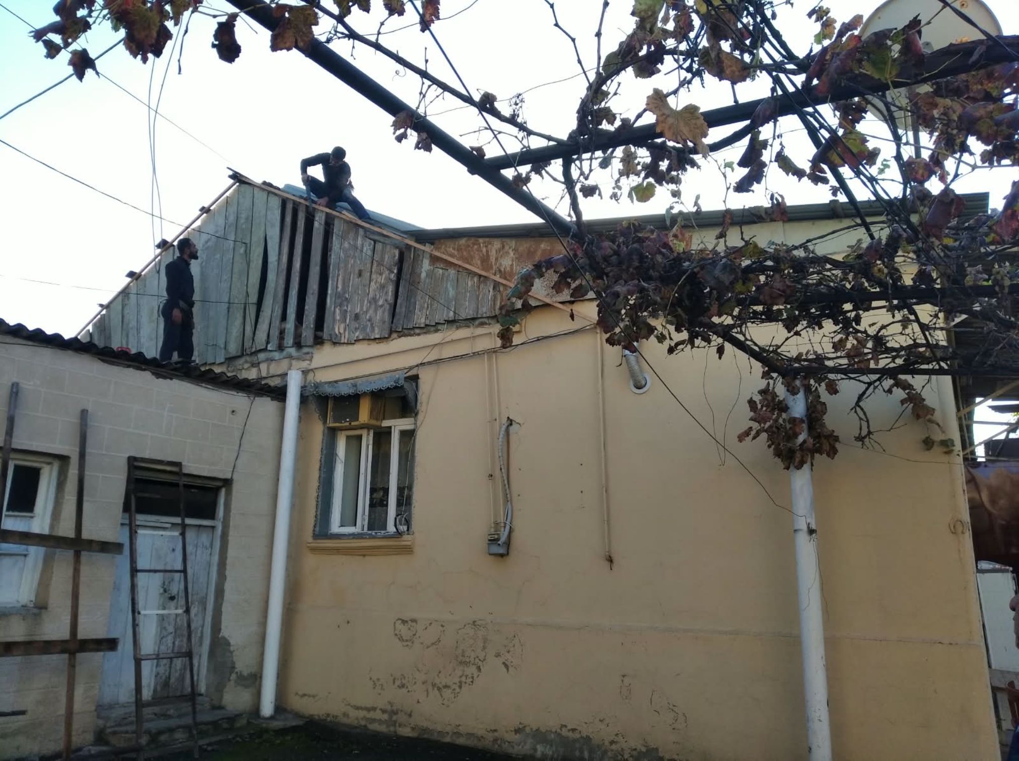 IMG-20261023-WA0023.jpg