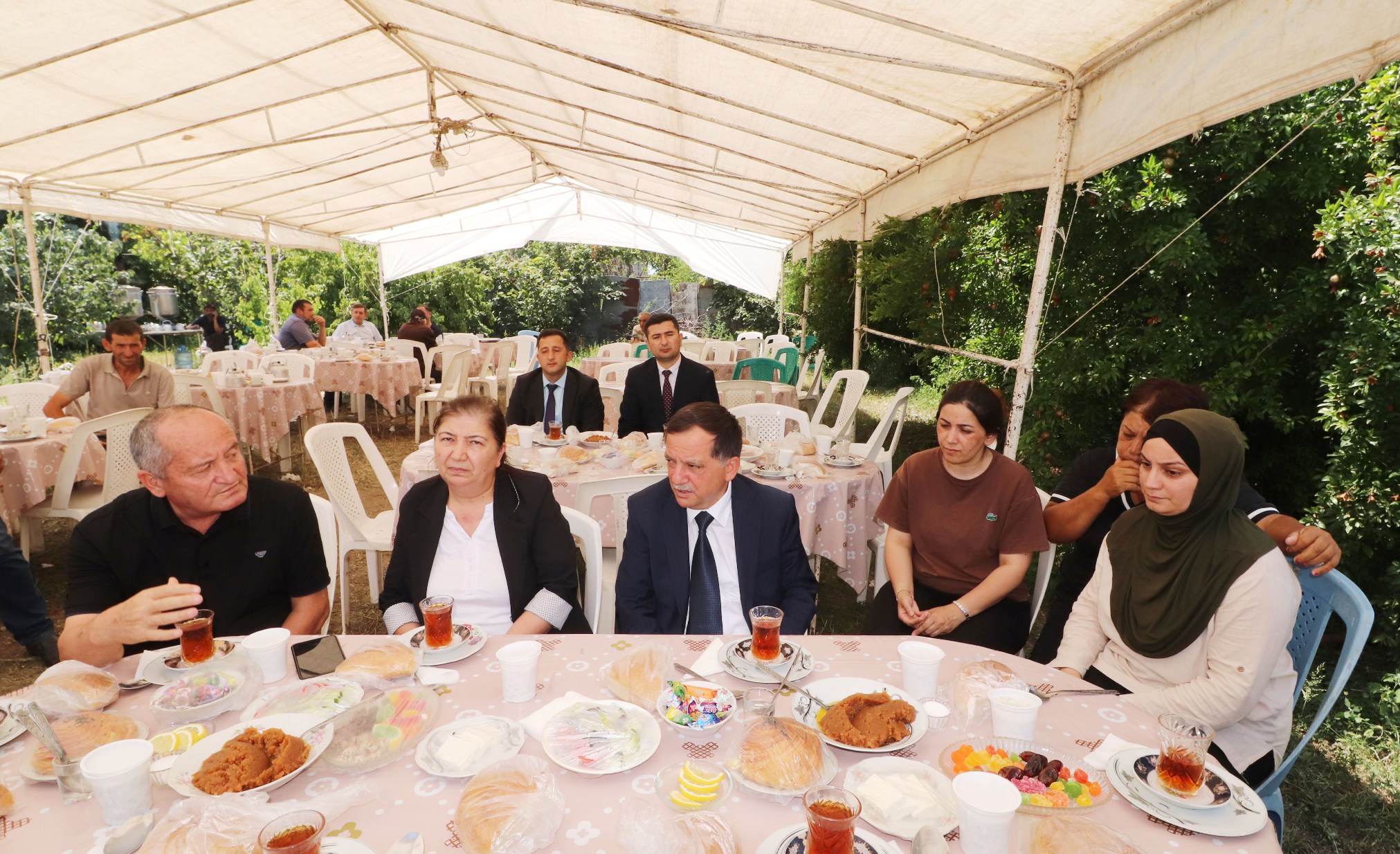 IMG_8388.JPG