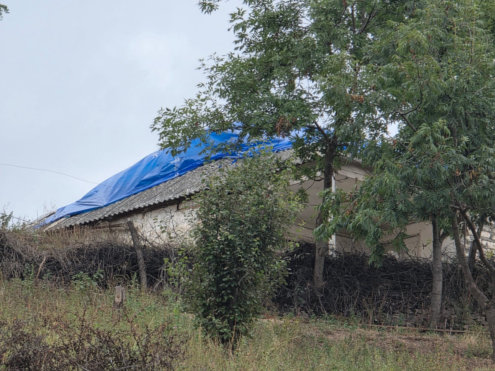 IMG-20260901-WA0121.jpg