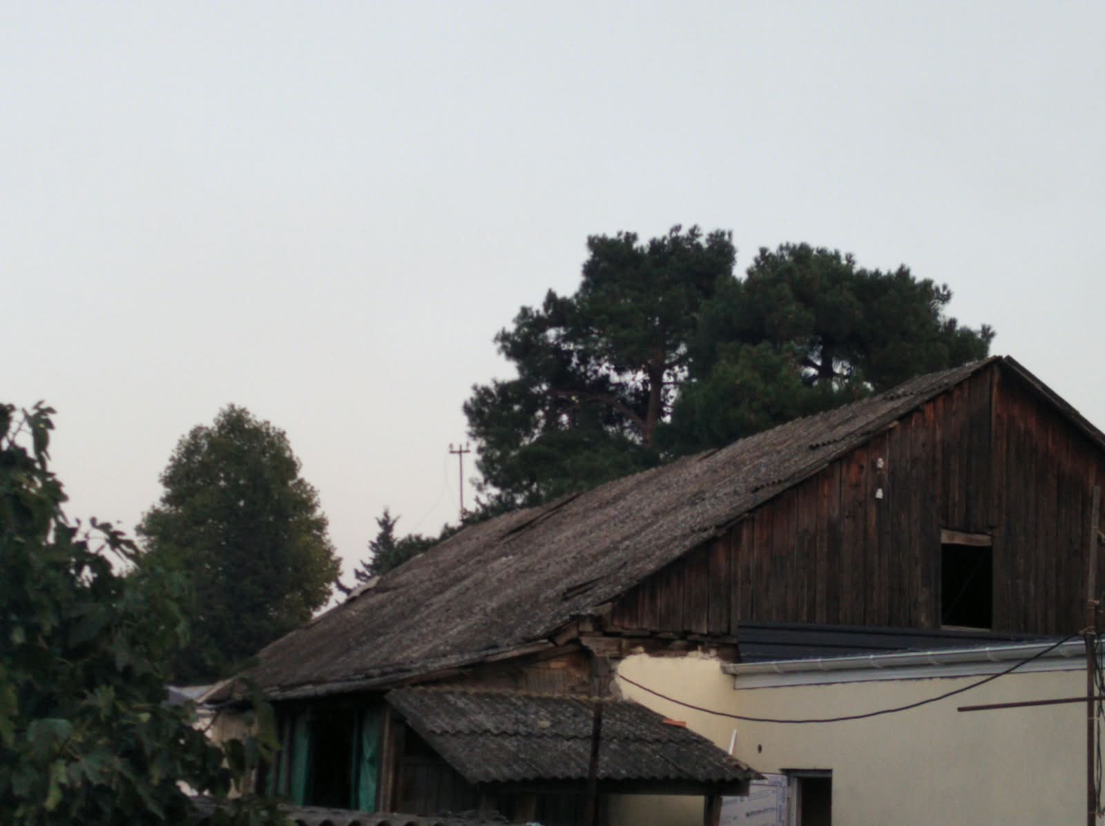IMG-20261019-WA0017.jpg