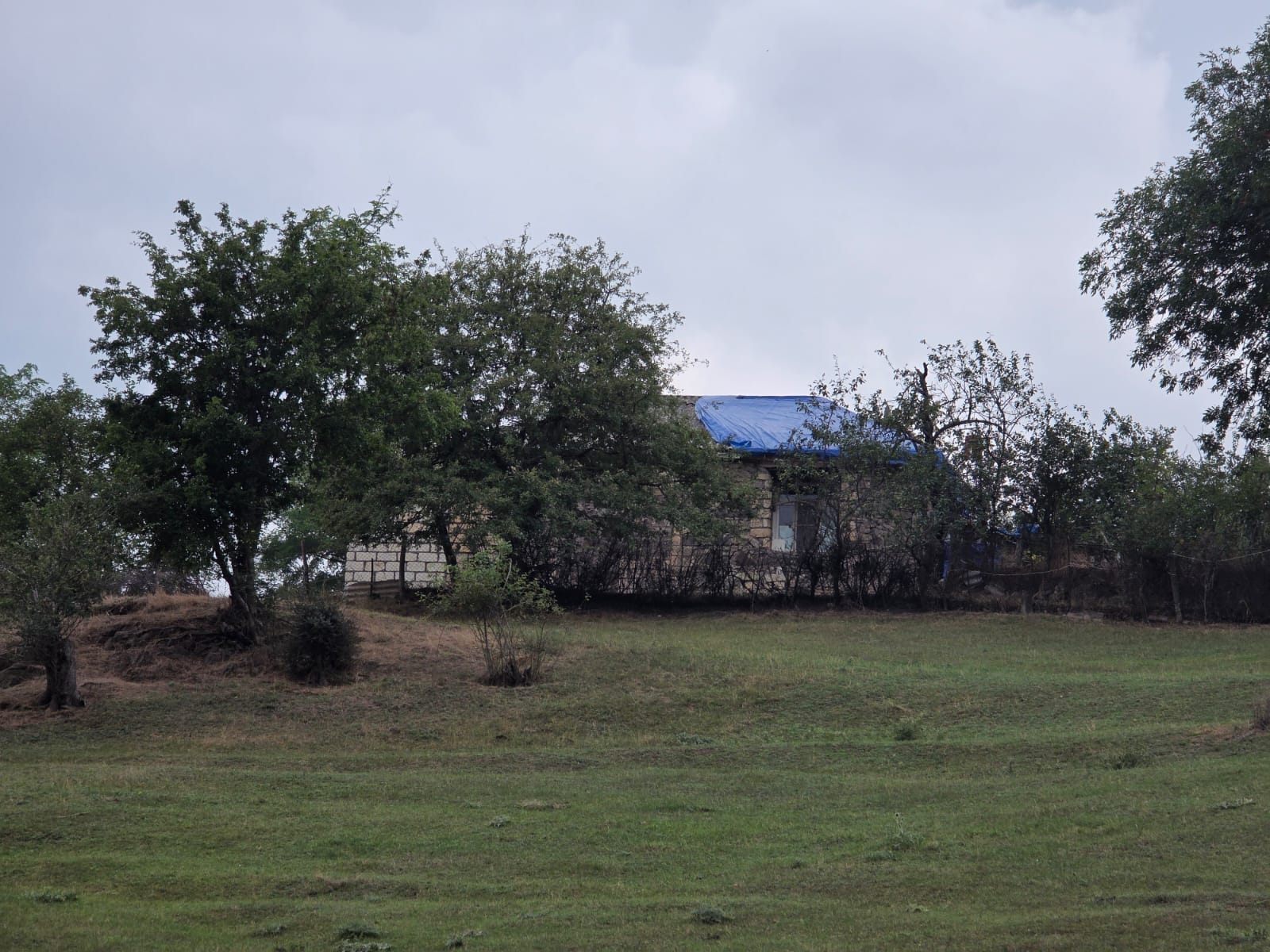 IMG-20260901-WA0108.jpg