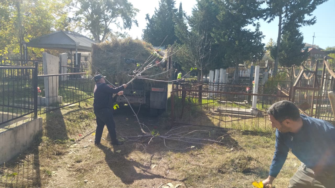 WhatsApp Image 2025-10-31 at 12.19.11.jpeg