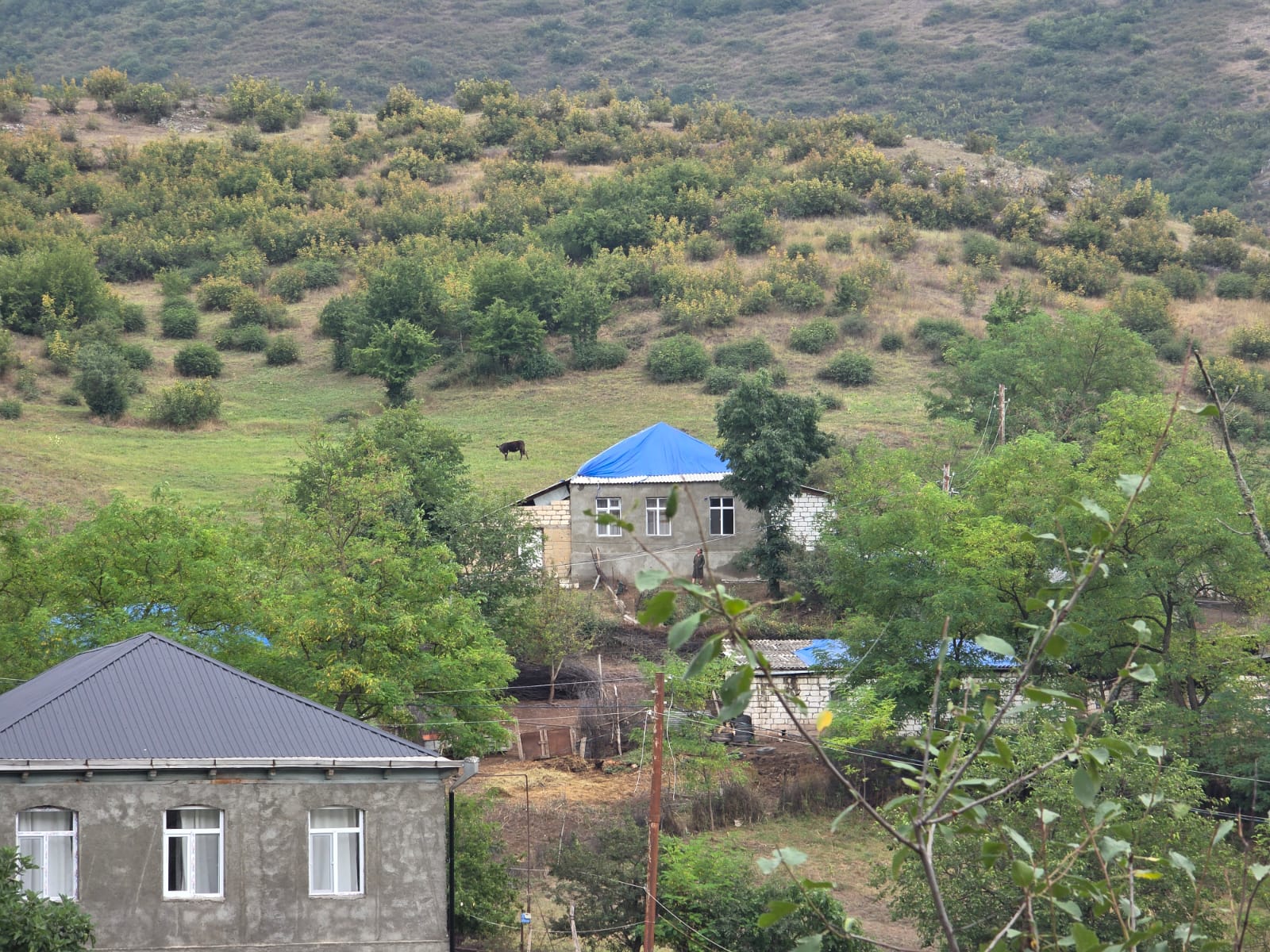 IMG-20260901-WA0120.jpg