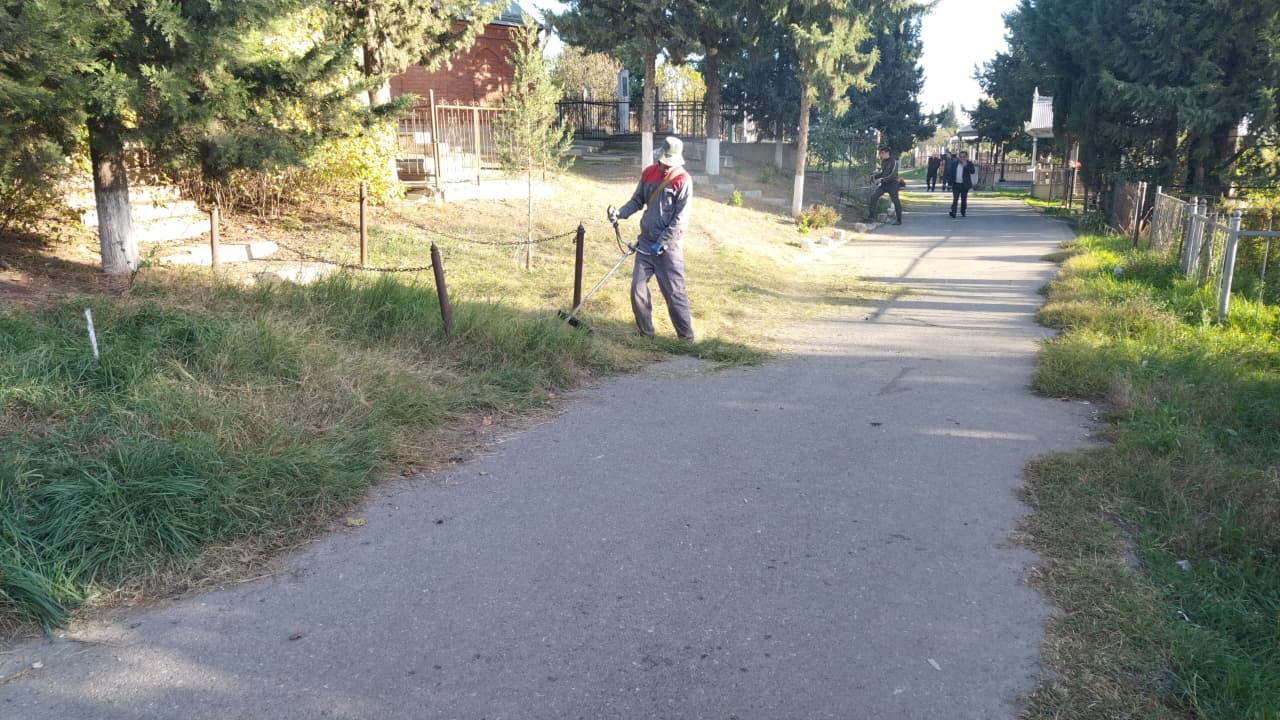 WhatsApp Image 2025-10-31 at 10.16.32 (2).jpeg