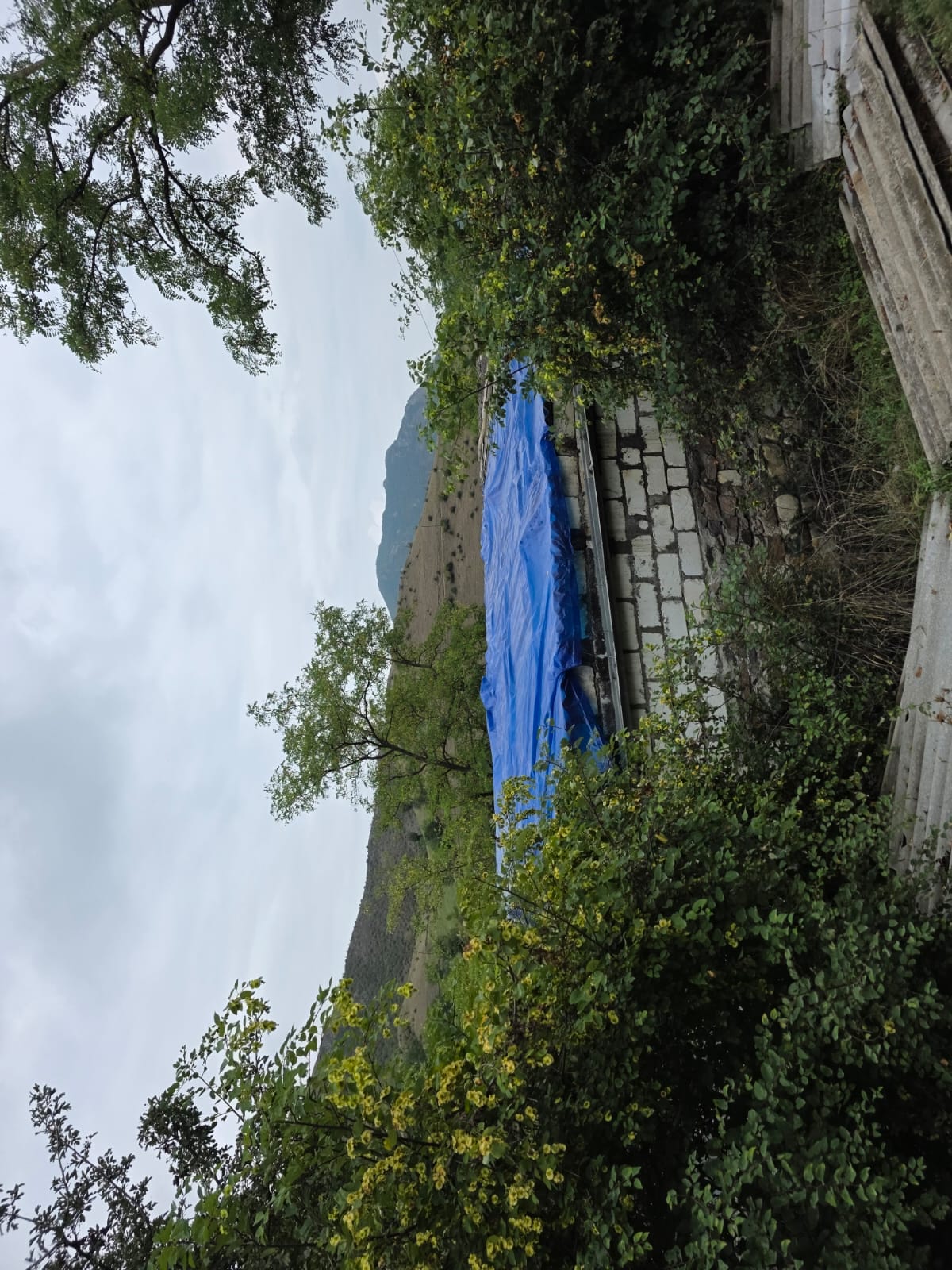 IMG-20260901-WA0114.jpg