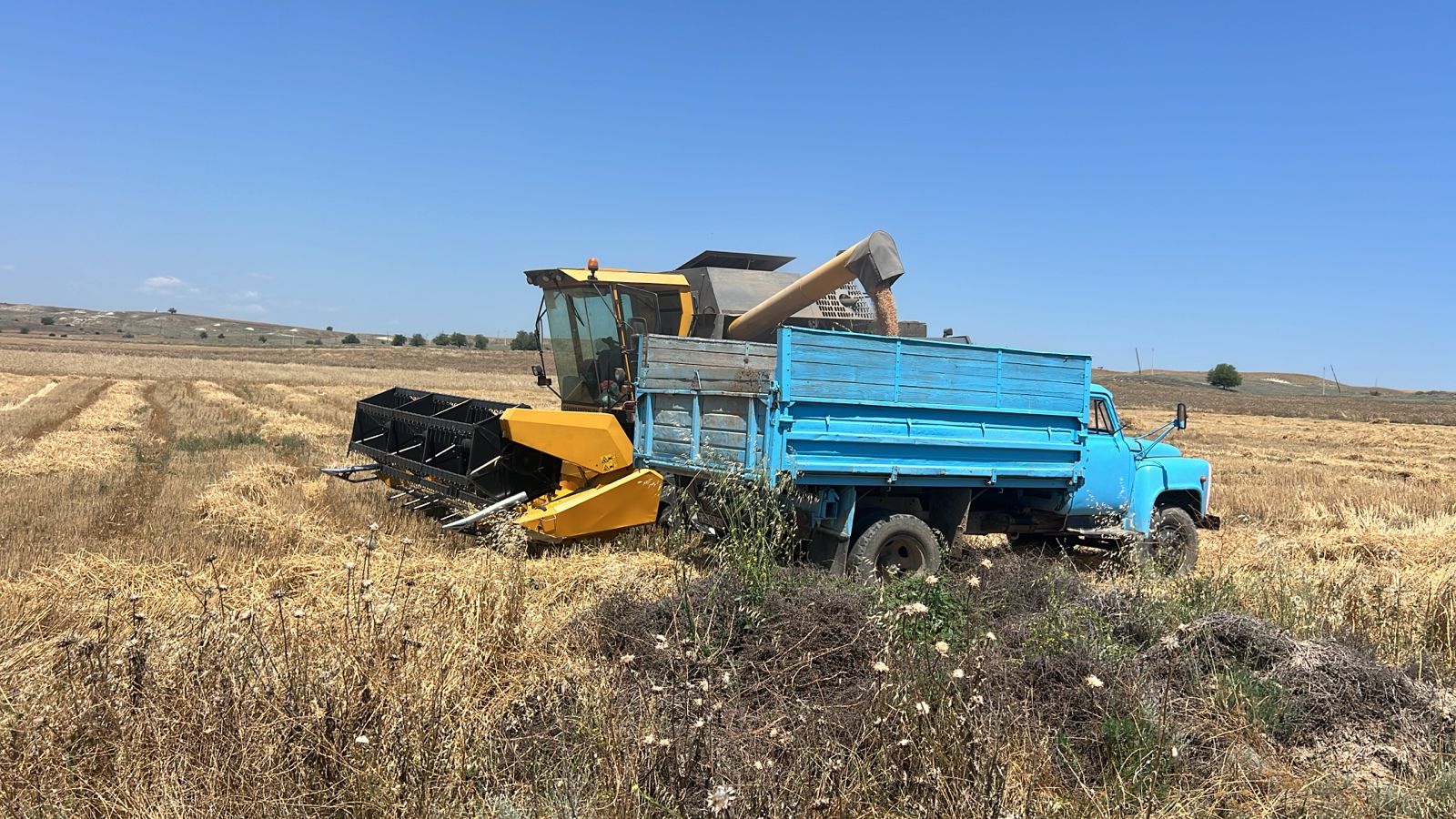 1. IMG-20250627-WA0019.jpg