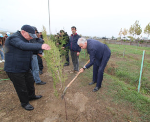 YAP-ın təsis edilməsinin 30 illiyi ilə əlaqədar Qazaxda ağacəkmə aksiyası keçirilib