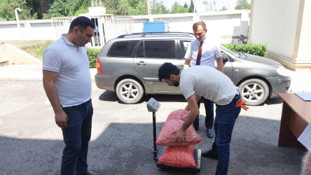 Qazaxda artıq barama tədarükünə başlanılıb