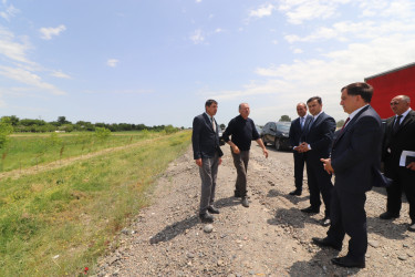 Qazaxda Prezident Administrasiyasının nümayəndəsi və İcra başçısı rayonun kəndlərində əkilmiş ağacların mövcud vəziyyəti ilə maraqlanıblar