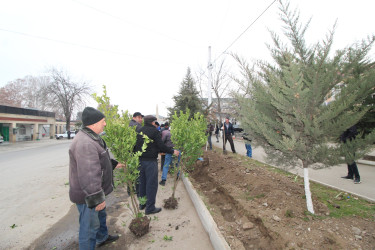 Qazaxın Nəriman Nərimanov yaşayış massivində çoxmənzilli yaşayış binalarının qarşısına yaşıllıq salınır