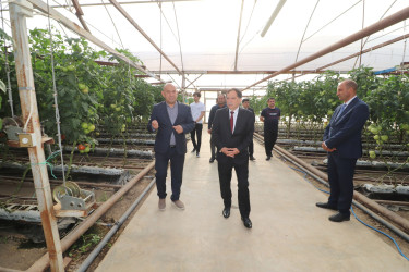 İcra başçısı “Əsədoğlu Group” MMC-yə məxsus müəssisənin təsərrüfat sahəsinin fəaliyyəti ilə tanış olub