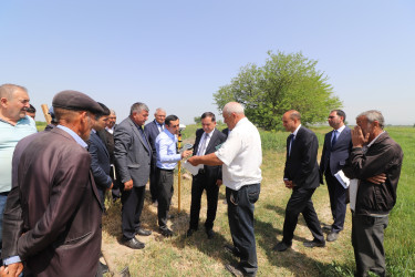 Qazaxda icra başçısı Daş Salahlı və İkinci Şıxlı kəndlərində vətəndaşların müraciətləri ilə yerində tanış olub