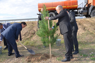 Qazaxda “Yaşıl dünya naminə həmrəylik ili” çərçivəsində keçirilən ağacəkmə aksiyası bu gün də davam edib