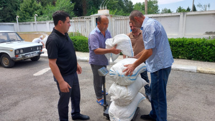 Qazaxda barama tədarükü davam edir