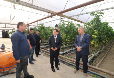 İcra başçısı “Əsədoğlu Group” MMC-yə məxsus müəssisənin təsərrüfat sahəsinin fəaliyyəti ilə tanış olub