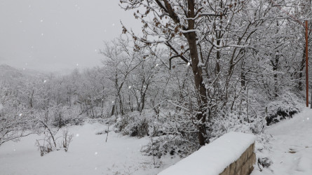 Qazaxda icra başçısı sərhəddə yerləşən Quşçu Ayrım və Fərəhli kəndlərində olub