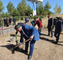 Qazaxda Vətən müharibəsi şəhidlərinin xatirəsinə həsr olunmuş yürüş və ağacəkmə aksiyası keçirilib