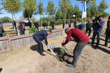 Qazaxda Vətən müharibəsi şəhidlərinin xatirəsinə həsr olunmuş yürüş və ağacəkmə aksiyası keçirilib