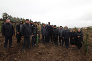 Qazaxda “Heydər Əliyev İli” çərçivəsində ağacəkmə aksiyası keçirilib