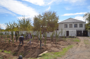 “Yaşıl dünya naminə həmrəylik ili” çərçivəsində Qazaxda növbəti ağacəkmə aksiyası keçirilib