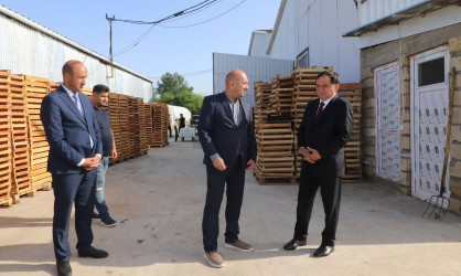 İcra başçısı “Əsədoğlu Group” MMC-yə məxsus müəssisənin təsərrüfat sahəsinin fəaliyyəti ilə tanış olub