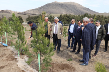 Qazaxda “Heydər Əliyev İli” çərçivəsində “Sağlam gələcəyimiz üçün ağac əkin!” devizi altında ağacəkmə aksiyası keçirilib