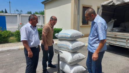 Qazaxda barama tədarükü davam edir