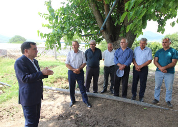 İcra başçısı Abbasbəyli kəndində vətəndaşların müraciəti ilə yerində tanış olub