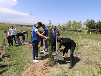 “Yaşıl dünya naminə həmrəylik ili” çərçivəsində Qazaxda növbəti ağacəkmə aksiyası keçirilib