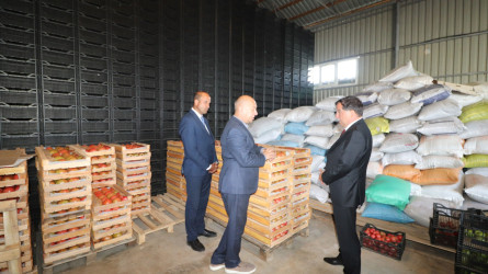 İcra başçısı “Əsədoğlu Group” MMC-yə məxsus müəssisənin təsərrüfat sahəsinin fəaliyyəti ilə tanış olub