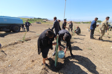 Qazaxda Vətən müharibəsi şəhidlərinin xatirəsinə həsr olunmuş yürüş və ağacəkmə aksiyası keçirilib