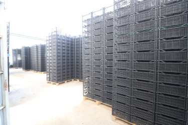 İcra başçısı “Əsədoğlu Group” MMC-yə məxsus müəssisənin təsərrüfat sahəsinin fəaliyyəti ilə tanış olub