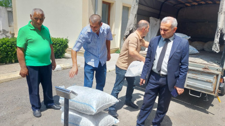 Qazaxda barama tədarükü davam edir