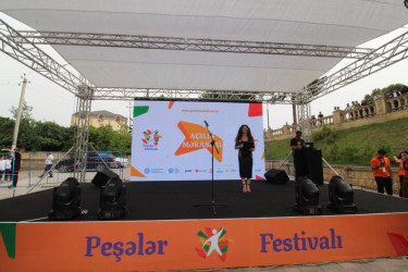 Peşələr festivalının növbəti dayanacağı Qazax şəhəri olub