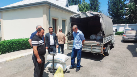 Qazaxda barama tədarükü davam edir