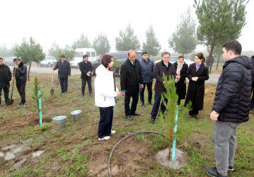 Qazaxda “Yaşıl dünya naminə həmrəylik ili” ilə əlaqədar “Gənclər, təbiət, könüllülər” devizi altında ağacəkmə aksiyası keçirilib