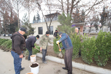 Qazaxın Nəriman Nərimanov yaşayış massivində aparılan abadlıq işlərindən - FOTOLAR