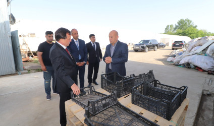 İcra başçısı “Əsədoğlu Group” MMC-yə məxsus müəssisənin təsərrüfat sahəsinin fəaliyyəti ilə tanış olub