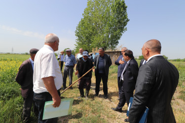 Qazaxda icra başçısı Daş Salahlı və İkinci Şıxlı kəndlərində vətəndaşların müraciətləri ilə yerində tanış olub