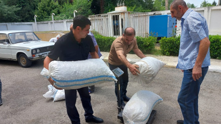 Qazaxda barama tədarükü davam edir