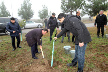 Qazaxda “Yaşıl dünya naminə həmrəylik ili” ilə əlaqədar “Gənclər, təbiət, könüllülər” devizi altında ağacəkmə aksiyası keçirilib