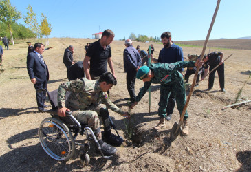 Qazaxda Vətən müharibəsi şəhidlərinin xatirəsinə həsr olunmuş yürüş və ağacəkmə aksiyası keçirilib