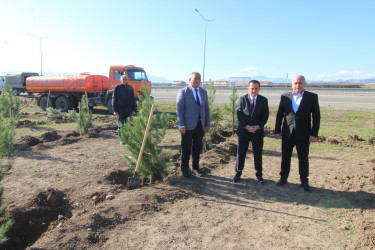 “Yaşıl dünya naminə həmrəylik ili” çərçivəsində Qazaxda ağacəkmə aksiyası davam edir