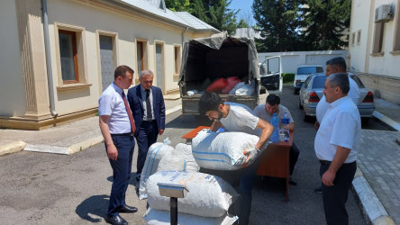 Qazaxda artıq barama tədarükünə başlanılıb