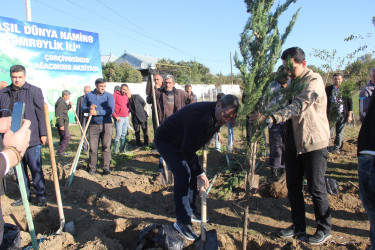 “Yaşıl dünya naminə həmrəylik ili” çərçivəsində Qazaxda ağacəkmə aksiyası keçirilib