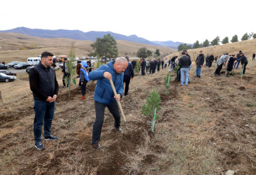 Qazaxda “Heydər Əliyev İli” çərçivəsində növbəti ağacəkmə aksiyası keçirilib