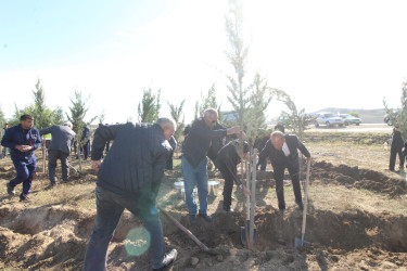 “Yaşıl dünya naminə həmrəylik ili” çərçivəsində rayonun Yuxarı Salahlı kəndində  ağacəkmə aksiyası keçirilmişdir