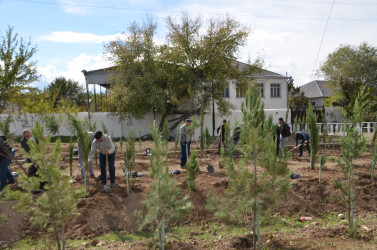 “Yaşıl dünya naminə həmrəylik ili” çərçivəsində Qazaxda növbəti ağacəkmə aksiyası keçirilib