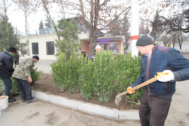 Qazaxın Nəriman Nərimanov yaşayış massivində aparılan abadlıq işlərindən - FOTOLAR