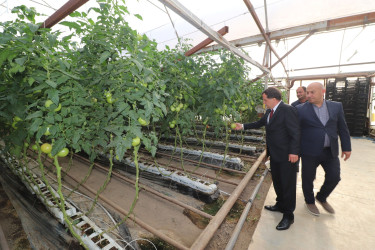 İcra başçısı “Əsədoğlu Group” MMC-yə məxsus müəssisənin təsərrüfat sahəsinin fəaliyyəti ilə tanış olub